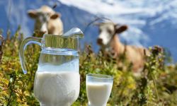 Çiğ süt desteğinde askı takvimi duyurusu! Ekim, Kasım Aralık icmalleri Şubat’ta askıya çıkıyor