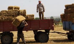 Çiftçiye sıfır faizli kredi desteğinin limiti 200 bin liraya çıkarıldı! Yarısı mazot ve gübrede kullanılacak!