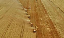 Ticaret Borsaları ve TÜRİB'de buğday arpa fiyatları haftayı kaç liradan kapattı? İşte 12 Mart buğday, arpa fiyatları!