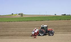 Kahramanmaraş'ta çiftçiye yüzde 50 hibe destekli tohum desteği!