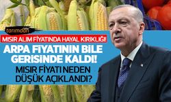 Mısır alım fiyatında hayal kırıklığı! Arpa fiyatının bile gerisinde kaldı! Mısır fiyatları neden düşük açıklandı?