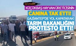 Küçükbaş hayvan üreticisinin canına tak etti Gaziantep'te yol kapatarak Tarım Bakanlığını protesto etti! 