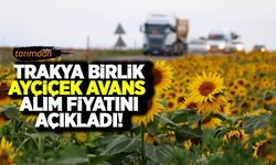 Trakya Birlik 2022 yılı ayçiçeği avans alım fiyatını açıkladı!