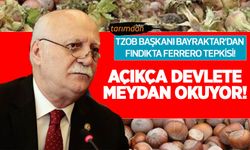 TZOB'dan fındıkta Ferrero tepkisi: Açıkça devlete meydan okuyor!