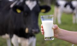Edirne Süt Üreticileri Birliği Başkanı Suiçmez: Edirne'de son 10 yılda süt üretimi yarı yarıya düştü!