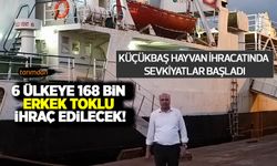 Türkiye'den 6 ülkeye 168 bin canlı küçükbaş hayvan ihracatı yapılacak! İzinler verildi sevkiyatlar başladı!