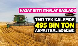 Hasat bitti buğday arpada ithalat dönemi başladı! TMO 11 Ekim'de 495 bin ton arpa ithal edecek!