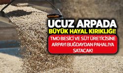 Ucuz arpada büyük hayal kırıklığı! TMO yetiştiriciye arpayı buğdaydan pahalıya satacak!