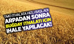 TMO ithalata hızlı başladı! 495 bin ton ekmeklik buğday ithal edilecek!