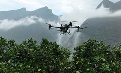 Tarımda dron kullanımı hangi bölgede ve hangi üründe daha yaygın kullanılıyor?