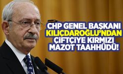 Kılıçdaroğlu: Veterinere para ödemeyeceksiniz!