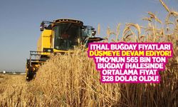 TMO’nun 565 bin ton ekmeklik buğday ithalat ihalesi sonuçlandı! İthal buğday fiyatları da düşüyor!