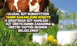 Ulusal Süt Konseyi’nden Tarım Bakanlığını köşeye sıkıştıran süt hamlesi! Süt üreticisinin zararı resmen belgelendi!