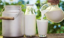 Çiğ süt desteği ödemelerine ilişkin usul ve esaslar belirlendi