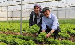 Eskişehir Büyükşehir Belediyesin'den kuru tarım projesi