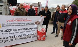 Eskişehir'de 26 çiftçiye yüzde 70 hibeli ayçiçeği tohum desteği!
