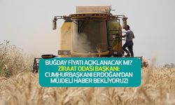 Buğday fiyatları açıklanacak mı? Ziraat Odası Başkanı: ‘Cumhurbaşkanımızdan müjde bekliyoruz!’