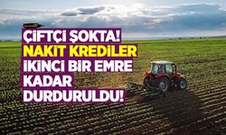 Tarım Kredi'de nakit krediler ikinci bir emre kadar durduruldu!