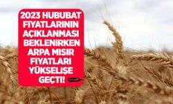 Arpa, mısır fiyatları arttı buğday fiyatları yerinde saydı! 8 Mayıs Ticaret Borsaları ve TÜRİB hububat fiyatları