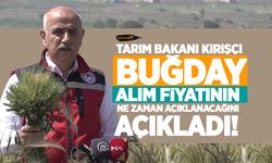 Tarım Bakanı Kirişçi, buğday tarlasında buğday alım fiyatları ile ilgili açıklama yaptı!
