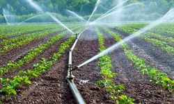 Çiftçilere müjde! Tarımsal sulama faaliyetleri amaçlı su kullanımının yarısını devlet karşılayacak!
