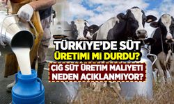 Türkiye'de süt üretimi durdu mu? Çiğ süt üretim maliyetleri neden açıklanmıyor?