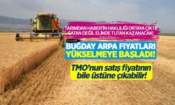 Buğday ve arpa fiyatları yükselişe geçti! Hasat sonrası TMO satış fiyatının bile üstüne çıkabilir!