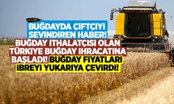 Türkiye yurt dışına makarnalık buğday ihraç etmeye başladı! Buğday fiyatları zıpladı!