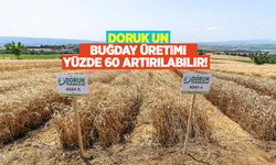 Doruk Un: Buğday üretimi yüzde 60 artırılabilir! 