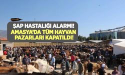 Şap hastalığı alarmı! Amasya'da tüm hayvan pazarları kapatıldı!