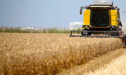 TMO Mart ayı hububat satış fiyatı açıklandı! Buğday, arpa ve mısır kaç liradan satılacak?