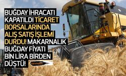 Buğday ihracatı kapatıldı borsalarda alış-satış işlemi durdu! Makarnalık buğday fiyatı bin lira birden düştü!