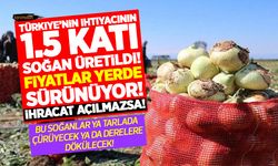Geçen yıl tarlada 6 liraya satılan soğan bu yıl 3 liraya alıcı bulamıyor! Çiftçi acilen soğan ihracatının açılmasını istiyor!