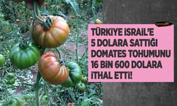 Türkiye İsrail'e 5 dolara sattığı domates tohumunu 16 bin 600 dolara ithal etti! 