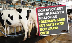 Ekim ayı çiğ süt üretim maliyeti belli oldu! TÜSEDAD'a göre süt satış fiyatı 15,72 liraya çıktı!
