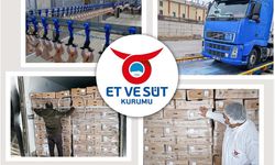 Et ve Süt Kurumu'nun Erzincan Kombina Müdürlüğünden ilk tavuk ihracatı!