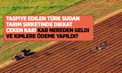 Tasfiye edilen Türk Sudan Tarım Şirketinde dikkat çeken kar! Kar nereden geldi ve kimlere ödeme yapıldı?