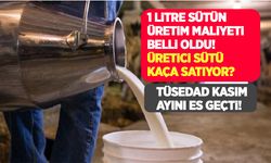 USK'ya göre Kasım ayında çiğ süt üretim maliyeti 56 kuruş arttı! TÜSEDAD Kasım ayı maliyet fiyatını açıklamadı!
