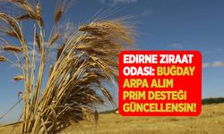 Edirne Ziraat Odası Başkanı: Buğday, arpa alım prim desteği güncellensin!  
