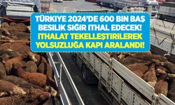Türkiye 2024 yılında 600 bin baş besilik sığır ithal edecek! İthalatı kim yapacak?