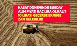 Türkiye Un Sanayicileri Federasyonu: Buğday fiyatı 10 lirayı aşarsa ekmeğe zam gelebilir!