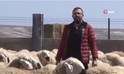 Hayvancılıkta çoban krizi: 42 bin lira maaşa çalışacak çoban bulamıyor!