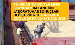 Tekirdağ'da GDO'lu mısır skandalı! Laboratuvar sonuçları değiştirilerek tonlarca GDO'lu mısır ülkeye sokuldu!