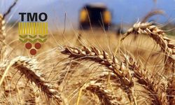Buğday ve arpa alım fiyatı öncesi satış fiyatı açıklandı! TMO buğday fiyatında 450 lira artışa gitti!