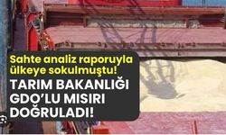 Tarım Bakanlığı GDO'lu mısırı doğruladı!