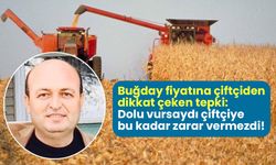Buğday fiyatına çiftçiden dikkat çeken tepki: Ekinlerimize dolu vursaydı çiftçiye bu kadar zarar vermezdi!