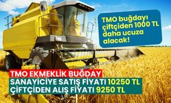 TMO sanayiciye 10250 TL'den sattığı buğdayı çiftçiden 9250 TL'den alacak!