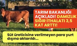 Süt üreticisine verilmeyen para yurt dışına aktarıldı! Türkiye’nin damızlık sığır ithalatı 3,5 kat arttı!