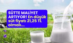 TÜSEDAD Mayıs ayı çiğ süt üretim maliyetlerini açıkladı!