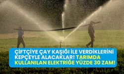 EPDK’dan açıklama: Tarımda kullanılan elektriğe yüzde 30 zam! Zamlı tarife 1 Temmuz'da başlayacak!